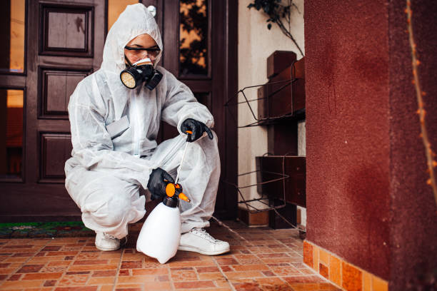 Reliable Bed Bug Control contractor in Beaufort, SC by Nex Pest Control
