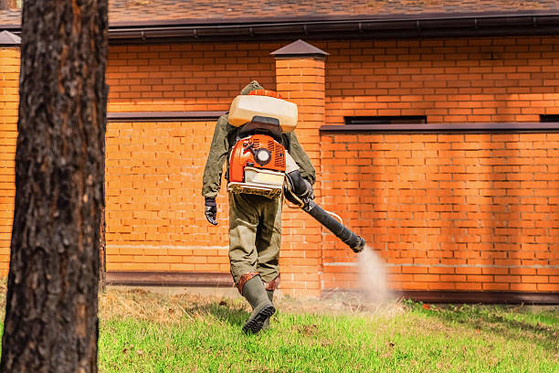Trusted Mosquito Control service in Beaufort, SC - Nex Pest Control
